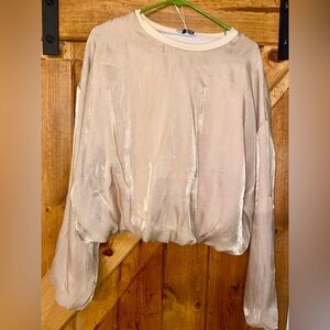 Zara Shimmering Cream Blouse